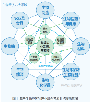 媒體農大科技之窗 生物質能資源數據庫信息系統的構建與應用